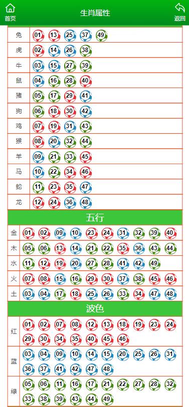 澳门最准一肖一码与十二生肖49码表，揭示背后的风险与挑战