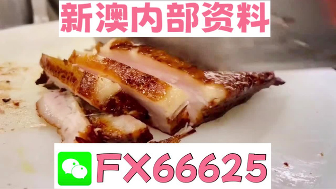 新奥长期免费资料大全，探索与启示