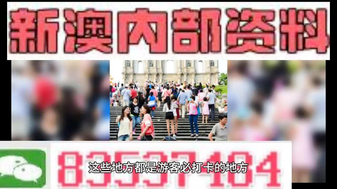 警惕网络犯罪风险，关于新澳精准资料的免费提供与潜在风险分析（第510期）