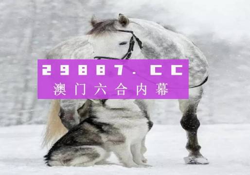 揭秘精准跑狗，探索数字组合77777与8888的魅力