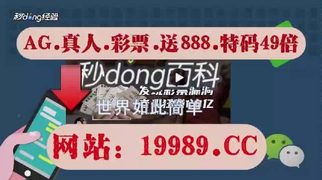 关于澳门博彩业与彩票的探讨，2024新澳门天天开奖攻略（警惕违法犯罪风险）