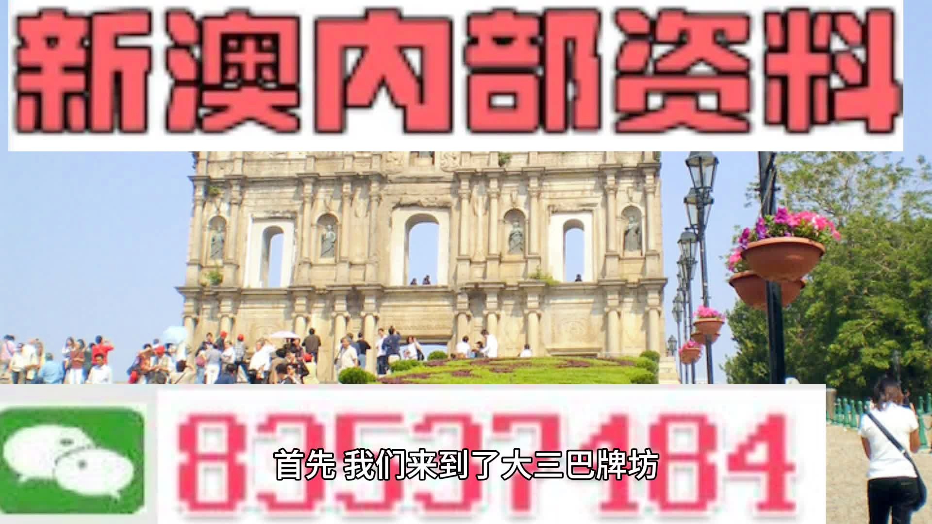 新澳2024正版免费资料，探索与解析